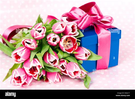 Pink Tulips And Gift Box Stock Photo Alamy