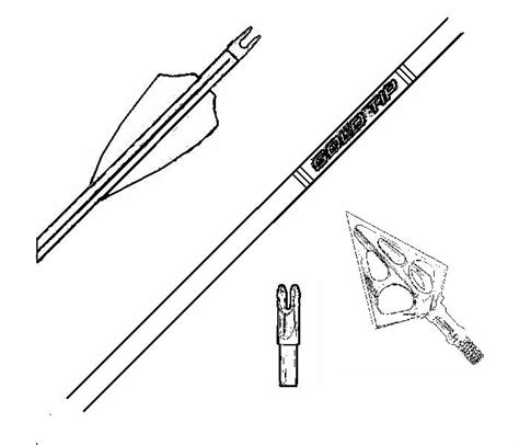 Tubes De Fl Che Et Fl Ches Mont Es Pour La Pratique Du Tir L Arc