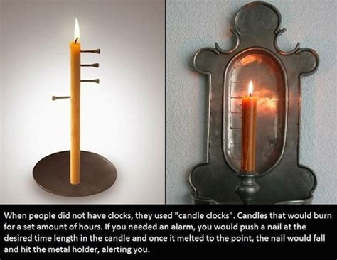 Sensational Facts That Will Definitely Make You Smarter Barnorama