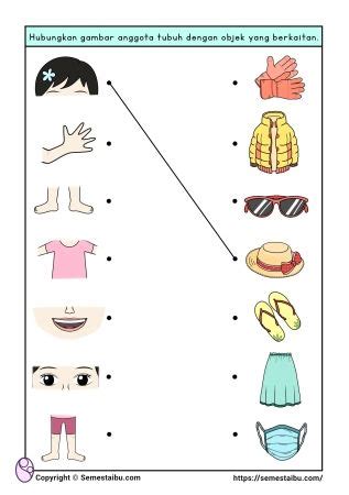 Body Parts Preschool Activities Preschool Number Worksheets Senses