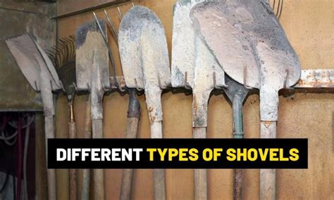 What Are The Different Types Of Shovels And Their Anatomy