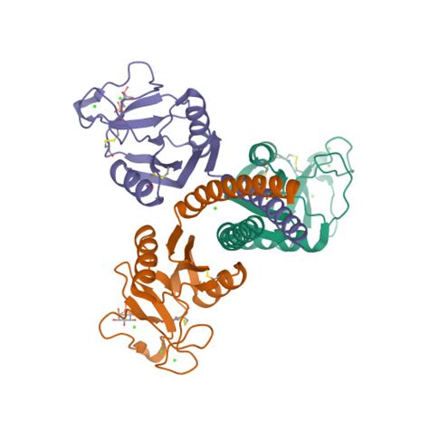 Rcsb Pdb Ikp Crystal Structure Of Inositol Phosphate Bound Trimeric