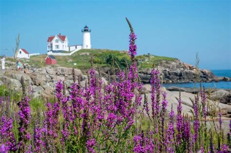 Premium Photo Nubble Lighthouse Cape Neddick Point York Maine Usa