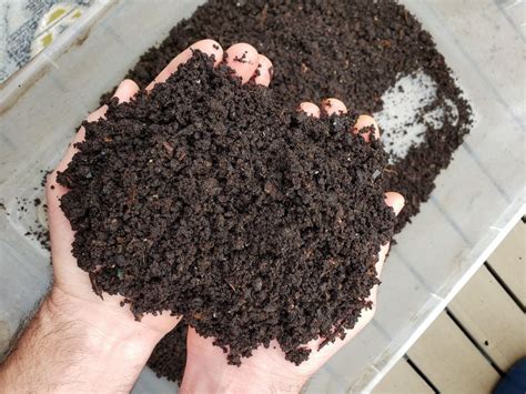 How To Harvest Worm Castings From A Simple Worm Compost Bin Homestead