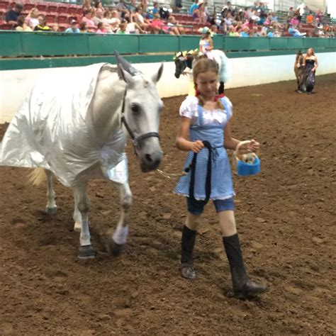 Horse and rider costume | Horse costumes, Horse rider, Horses