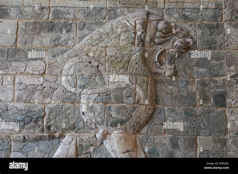 Achaemenid Empire Persian Lion Of Darius The Great From The Susa