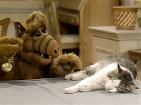 Alf Reviews Looking For Lucky Season 1 Episode 3 Noiseless Chatter