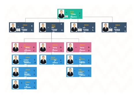 The Ultimate Guide To Hierarchy Charts With Examples Edrawmax Images