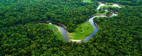 Vídeo mostra que maior área de proteção ambiental do mundo é brasileira