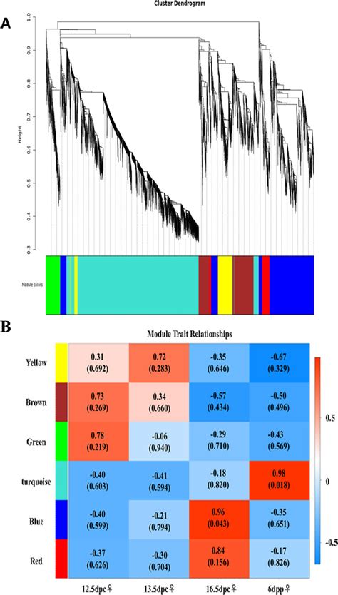 Weighted Gene Co Expression Network Analysis Wgcna A Hierarchical