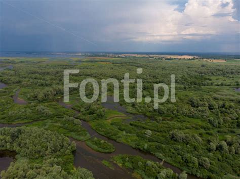 Polska Amazonia Rezerwat Ornitologiczny Zbiornik Jeziorsko Rzeka Warta