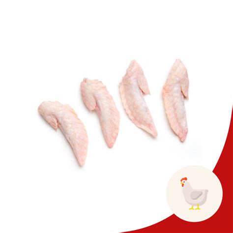 Chicken Wing Tips 鸡翅尖 (per kg) - Chicduck Fresh & Frozen Supply