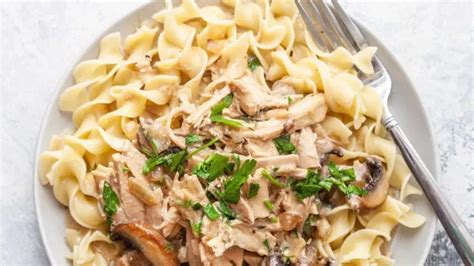 42 Leftover Rotisserie Chicken Recipes • The Wicked Noodle