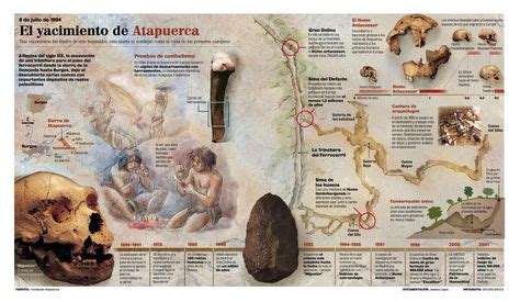 8 Anthropology ideas | human evolution, anthropology, prehistory