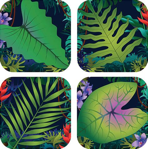 Amazon Rainforest Clip Art Illustrations, Royalty-Free Vector Graphics ...