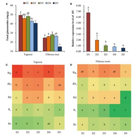 Effects Of Planting Densities On The Content Of Ginsenoside And