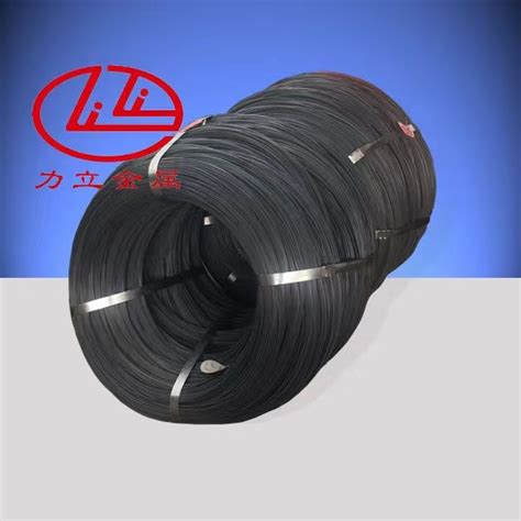 High Carbon Steel Wire Spring Steel Wire Music Wire Stainless Steel