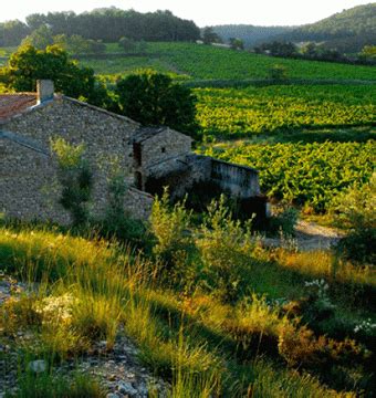 Domaine Roche Audran Cuvée Marius Côtes du Rhône Villages Visan 2018