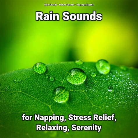 Rain Sounds For Napping Stress Relief Relaxing Serenity Album By