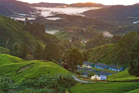 Daerah Terdingin Di Bengkulu Warganya Kaget Nomor Bukan Raja