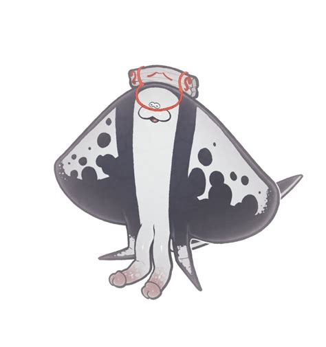 Rule 34 2022 2 Penises 3 Anthro Batoid Big Man Splatoon Clothing Derek Hetrick Diphallia