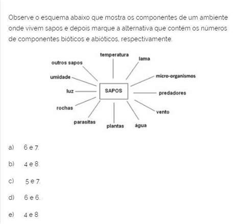 Observe O Esquema Abaixo Que Mostra Os Componentes De Um Ambiente Onde