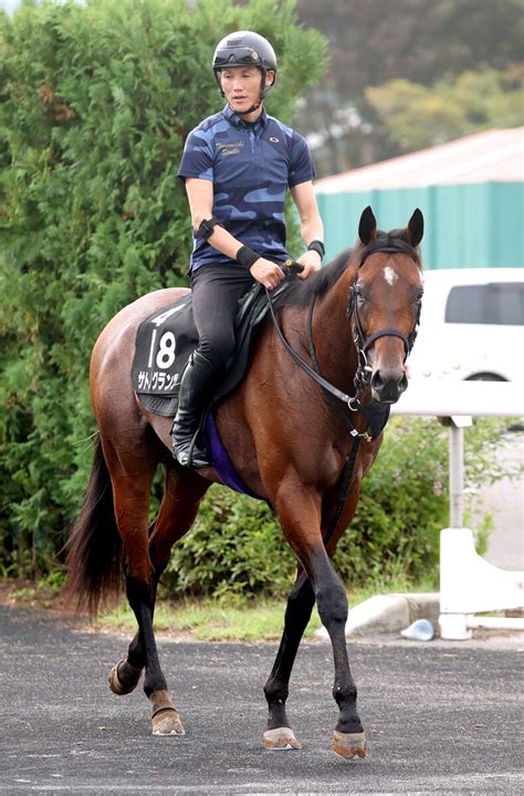 【菊花賞】神戸新聞杯を制したサトノグランツが初g1奪取へ 陣営「自信を深めたレースでした」 スポーツ報知