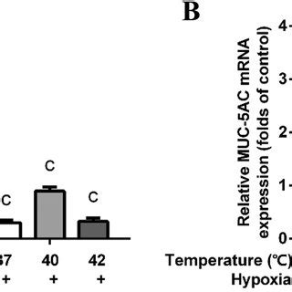 Effects Of Hypoxia And Or Heat Treatment On Mucin Gene Production In