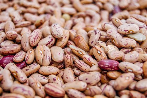 Fagioli Varietà E Come Riconoscerli