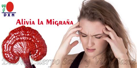 Tratamiento Natural De La Migra A Con El Ganoderma Lucidum