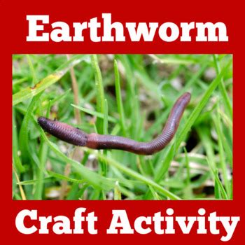 Worm Life Cycle | Earthworm Life Cycle Activity by Green Apple Lessons