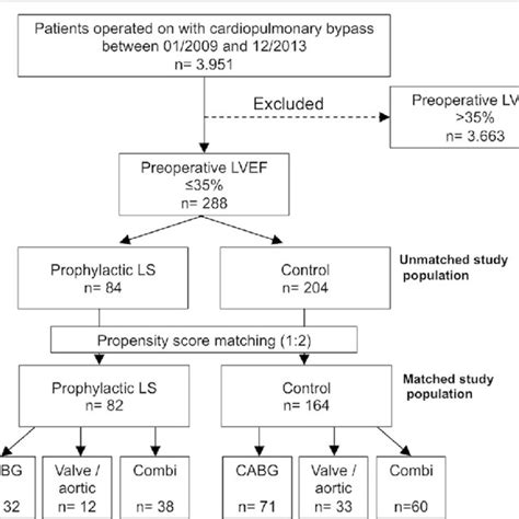 Patient Inclusion Flow Chart From 3 951 Patients Operated On In The