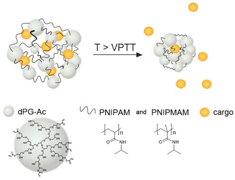 Structure Of The Thermoresponsive Nanogel Linear Temperature Sensitive