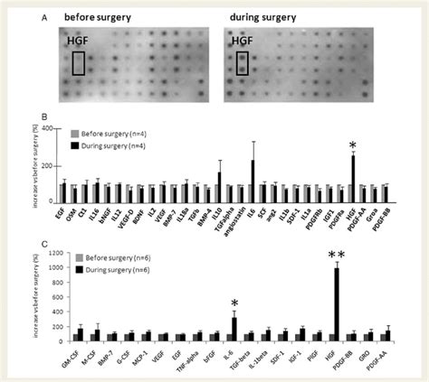 Cytokine Profiling A Representative Pictures Of The Cytokine