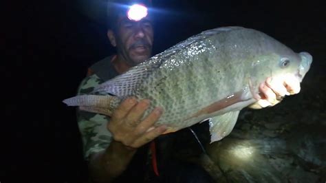 Aventura De Pesca De Noche Pesca Con Chuy Youtube