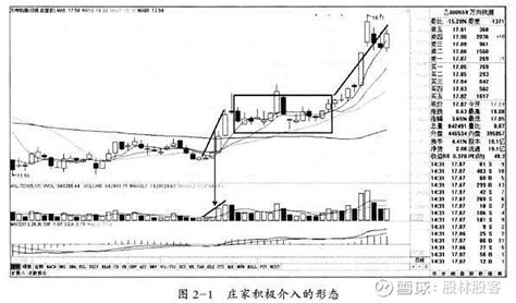 一位精明交易者的20年感悟：股票成交量很低，价格降得却很快，你知道怎么回事吗？值得投资者阅读 股票成交量很低，但股价跌得快，预示着什么量价