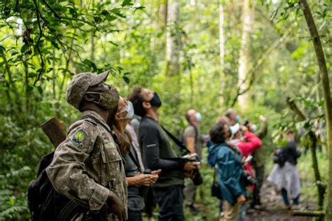 Parque Nacional Del Bosque Impenetrable De Bwindi Actividades