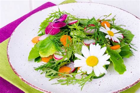 Liste De Fleurs Comestibles Du Jardin Jardiner Malin