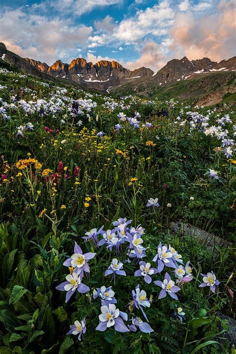 The Secret Garden Hike In Colorado Will Make You Feel Like Youre In A