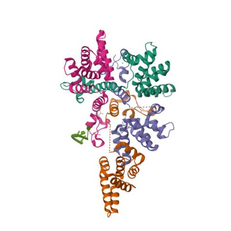 RCSB PDB 4CSA Crystal Structure Of The Asymmetric Human