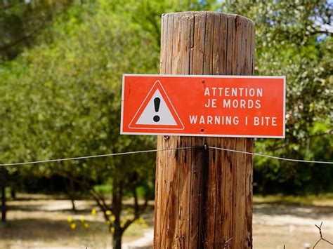 Est Ce Obligatoire D Avoir Un Panneau Attention Au Chien