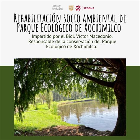 Webinar Rehabilitaci N Socio Ambiental De Parque Ecol Gico De