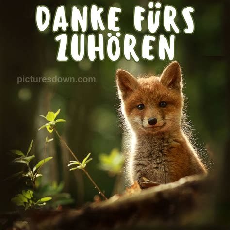 Danke F Rs Zuh Ren Bild Fuchs