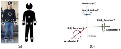 Sensors Free Full Text Wearable Imu Based Human Activity