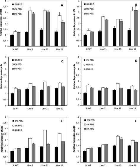 Effect Of Drought Stress On The Relative Gene Expression Of Sccbf1