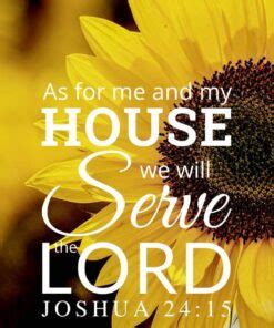 Sunflower Bible Verse Wallpaper – Encouraging Bible Verses