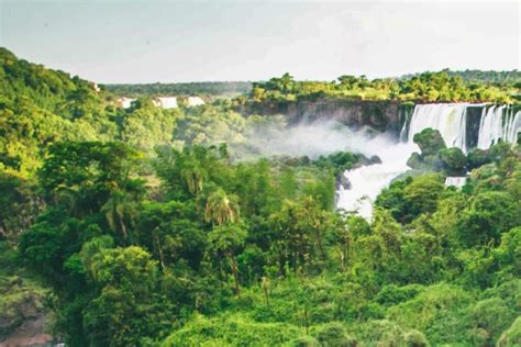 Parque Nacional Iguaz Selva Cataratas Y Sabores