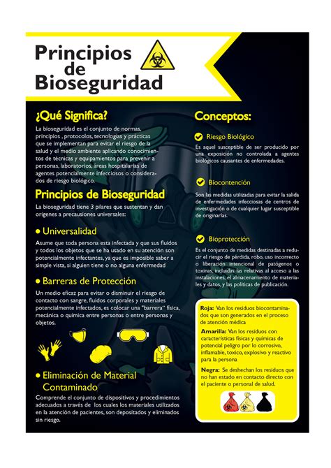 Infografia Bioseguridad Bien Principios De Bioseguridad Qu