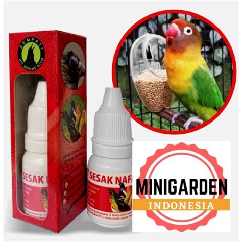 Jual OBAT SESAK NAFAS BURUNG Vitamin Burung Gangguan Pernapasan Nafas