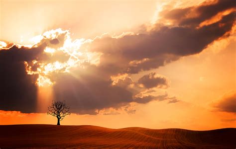 Fotos Gratis Paisaje Rbol Naturaleza Horizonte Nube Cielo